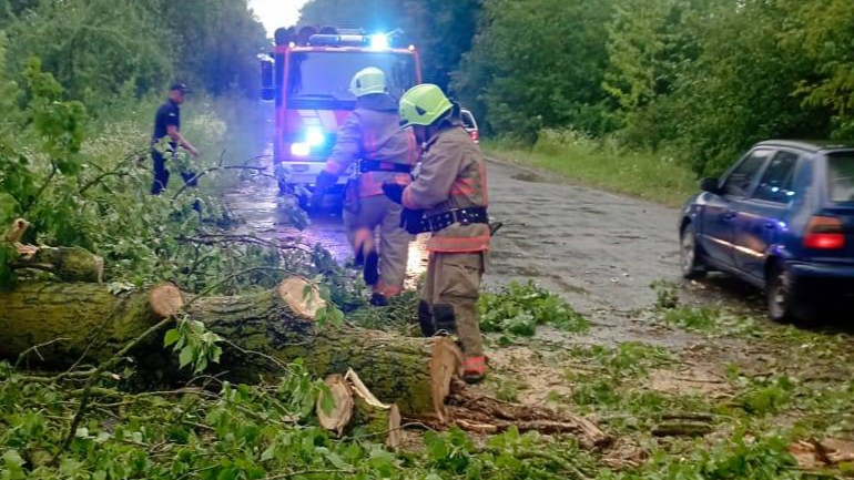 Заблоковане авто та перекритий рух транспорту на Волині негода повалила дерева