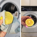 Лимон у шкарпетці — і пралка без запаху: простий домашній метод