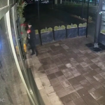 У Луцьку на очах в дружини чоловік поцупив новорічний декор з кафе