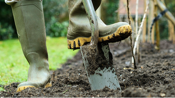 Як підготувати теплицю до зими, щоб навесні все росло, як на дріжджах