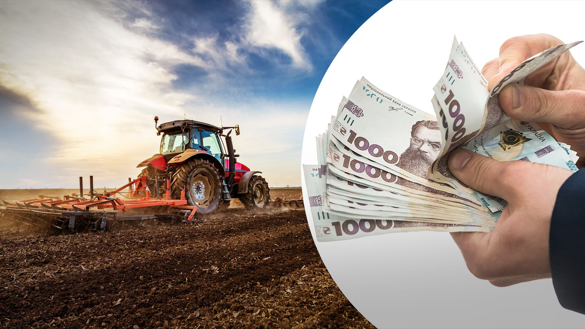 На Волині аграрії залучили рекордні 4 млрд грн кредитів