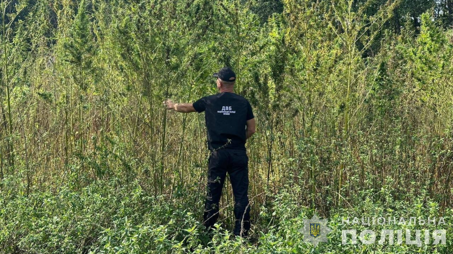 Вилучили наркотики на мільйон гривень: на Волині затримали наркоторговця