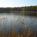 Пенсіонер з Волині вирив штучну водойму в заповіднику: як його покарали