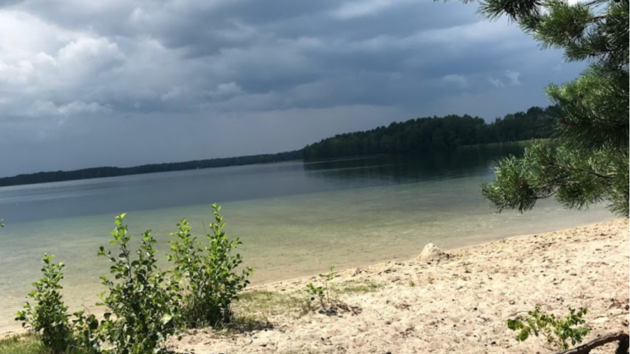 Забудьте про море: озеро на Волині приваблює туристів чистотою та унікальністю