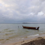 В озері Світязь значно впав рівень води