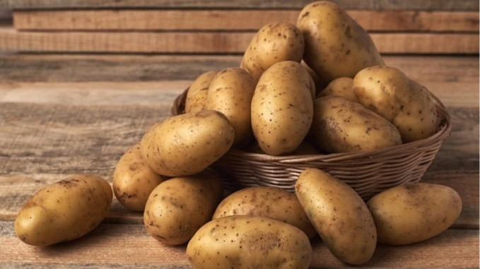 Найсмачніші та найкращі сорти картоплі для вирощування в Україні: перевірений рейтинг