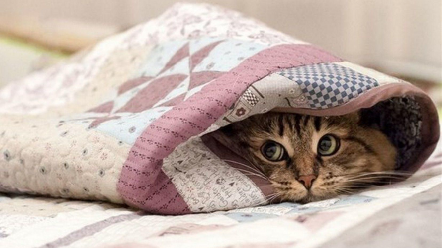 погода в україні 21 березня