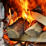 Дрова на зиму: де замовити легально, скільки коштують і за що можна отримати штраф