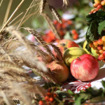 Яблучний, Медовий та Горіховий Спаси 2024 року: нові дати святкувань