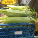 На ринку у Луцьку вже продають молоду кукурудзу: яка ціна