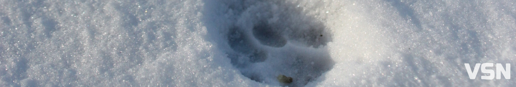 Морози та невеликий сніг: якою буде погода 10 та 11 січня на Волині?