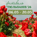 Найбажаніша події цієї весни - на Волині стартує фестиваль тюльпанів