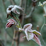 прогноз погоди на 13 квітня