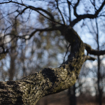 похолодання в Україні