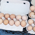 Яйця можуть подорожчати до 120 грн: які ціни на ринках Луцька зараз