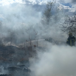 На Волині вигоріло понад 3 гектари сухостою через людську недбалість