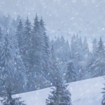 Штормове попередження, Львів, погода