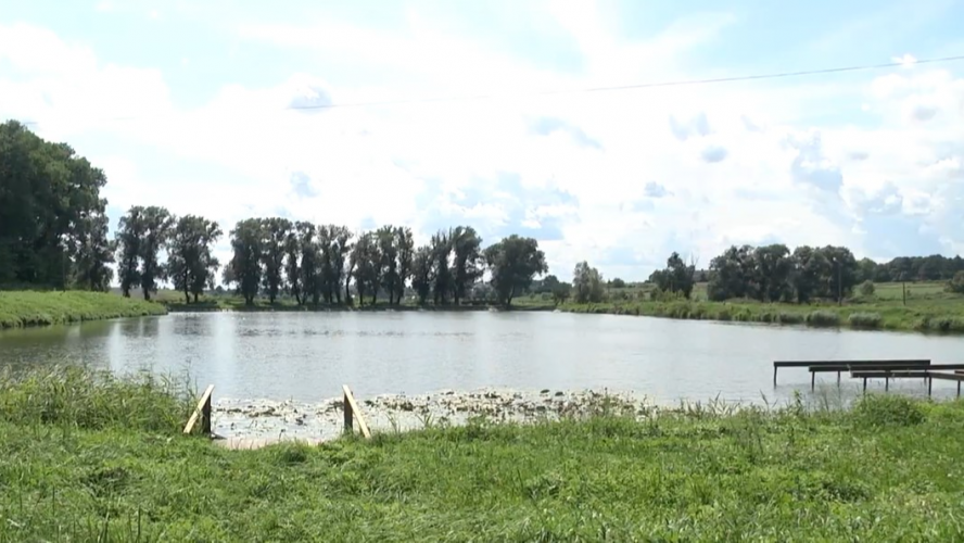 Мешканці села на Волині «скинулися» і викупили ставок у фермера: місце стало центром для відпочинку