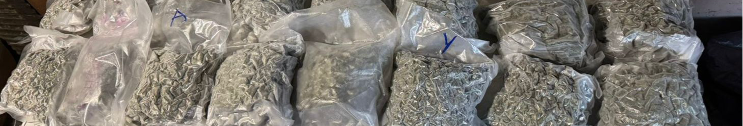 Наркобізнес на мільйони: волинянин разом з одеситами та киянами організував збут наркотиків