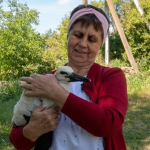 Волинянка врятувала і прихистила вдома лелеченя