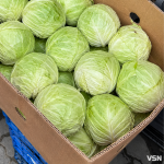 Скільки коштує білокачанна капуста на ринку у Луцьку