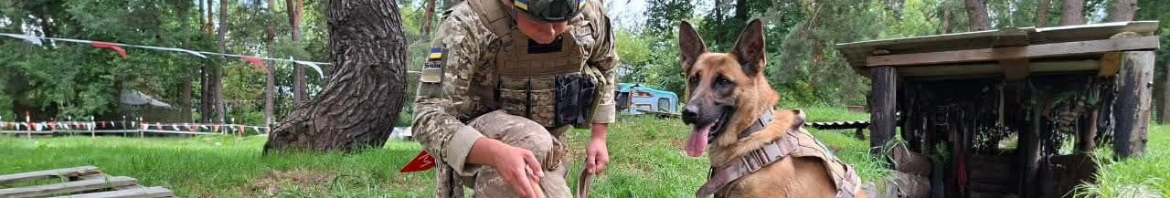 Історія дружби та служби: як прикордонник з Волині і його малінуа Атака шукають міни й вибухівку