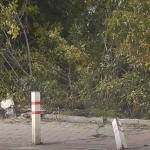 У Луцьку водійка злетіла в кювет і протаранила огородження біля мосту