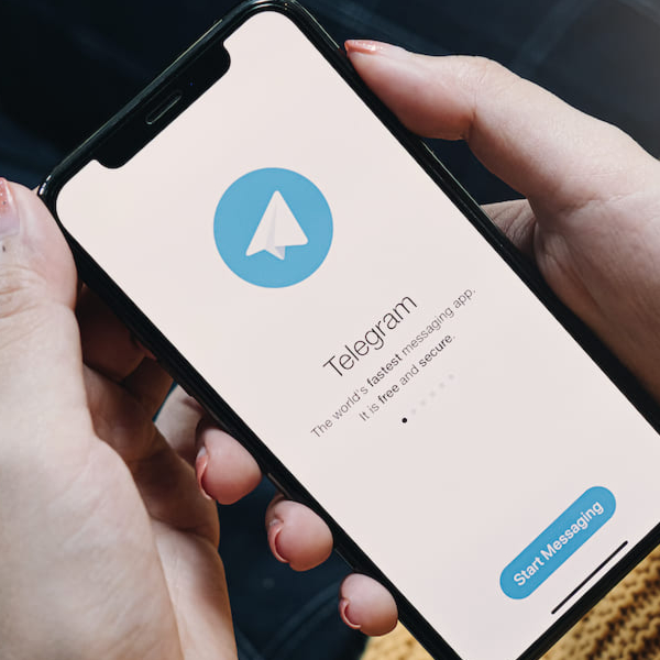 «Мінти нам не кінти»: на Волині засудили адміністратора чату для ухилянтів