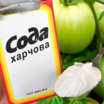 Сода від фітофтори: як правильно використовувати простий засіб на городі