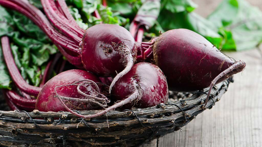 Найсолодші та найврожайніші сорти червоного буряка: 5 назв найкращих коренеплодів