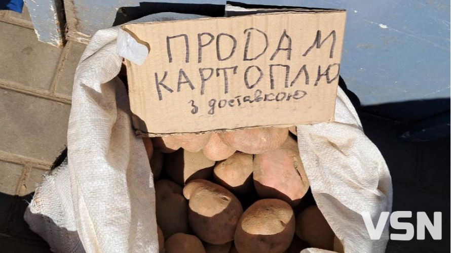 Скільки коштує картопля на луцькому ринку: огляд цін