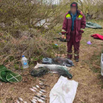 Понад 56 тисяч гривень збитків: на Волині викрили незаконний вилов риби під час нересту