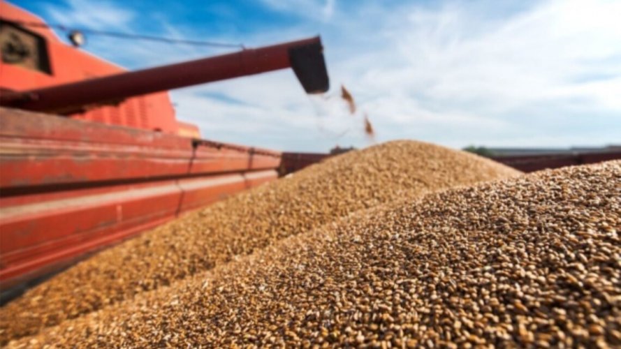 Україна домовилась з Польщею про відновлення транзиту зерна