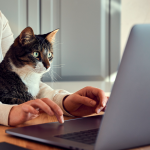 Ноутбуки з екраном 120 Гц: чому варто обирати у Foxtrot