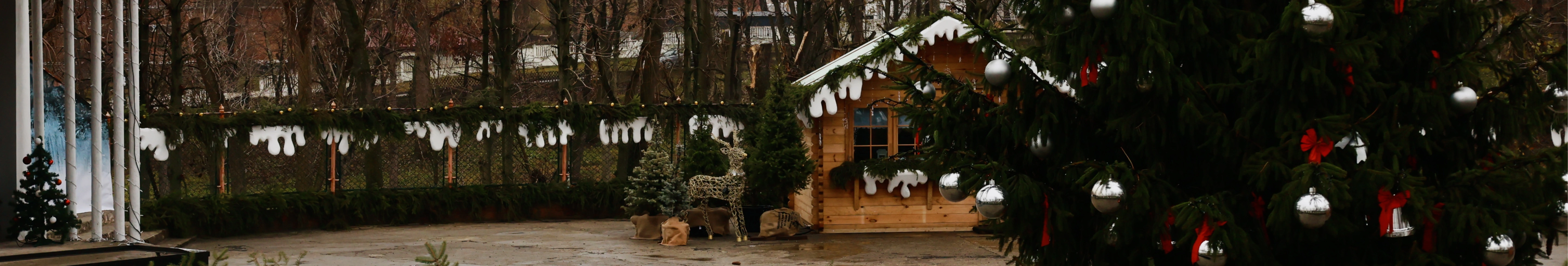 Туман і мжичка у грудні: волинське місто зустрічає зиму в осінньому настрої