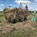 Сінокос по-волинськи: з дідівською косою, обідом у затінку та спогадами про поліські болота