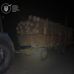 На Волині у лісництві виявили 60 пнів та незаконне перевезення деревини