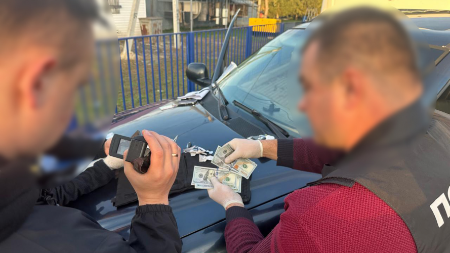 На Волині розкрили оборудку з 55 автомобілями, ввезеними як гуманітарна допомога для ЗСУ
