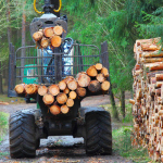 Волиняни почали замовляти деревину в державному інтернет-магазині «ДроваЄ»