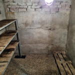 Овочі залишаться свіжими до весни: як швидко прибрати конденсат у погребі без зайвих зусиль