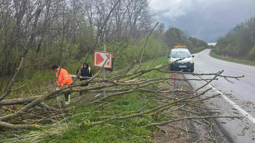 Перекинута зупинка, побите авто і повалені дерева: наслідки буревію на Волині