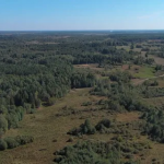 На Волині незаконно передані понад 32 гектари земель лісгоспу повернули державі