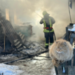 На Волині під час пожежі в селі згорів хлів, але врятували котика