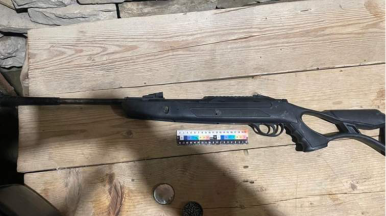 На Волині дівчинка випадково вистрелила собі в ногу, судили її батька