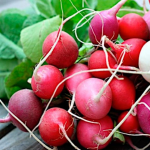 Редиска потріскалася
