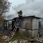 На Волині пожежа знищила будинок пенсіонера