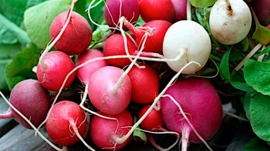 Редиска потріскалася