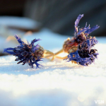 На Різдво Волинь накриє сильний мороз і місцями сніг