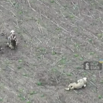 «Перемир’я» під вогнем: окупанти дроном вбили поранених українських бійців на Запоріжжі