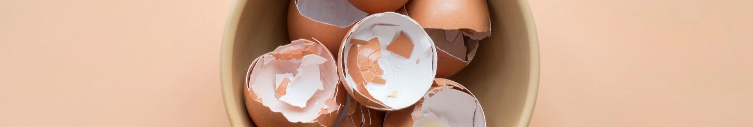 Чому у січні-лютому треба обов'язково розсипати на городі яєчну шкарлупу